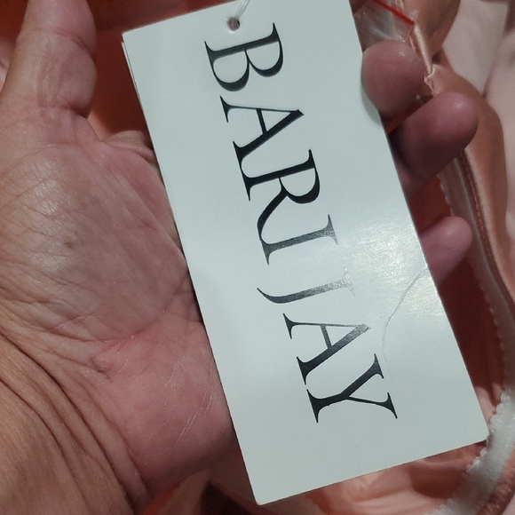 Bari Jay Pink Strapless Pleated Bust Sheer Maxi Gown - Picture 2 of 9